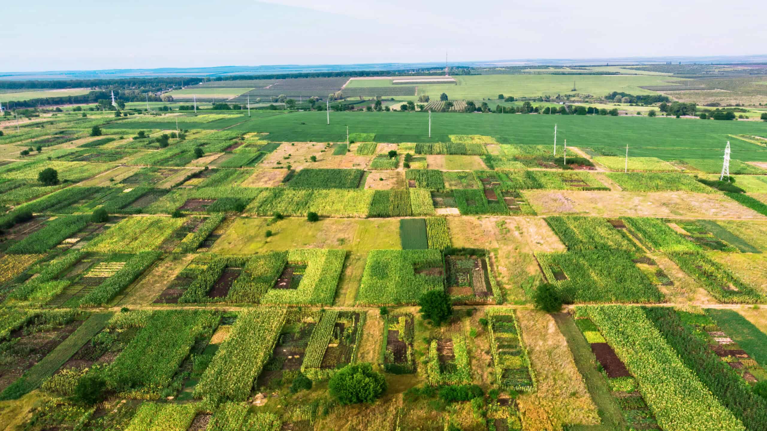 USA Land - Buying in Florida, Georgia and South Carolina!